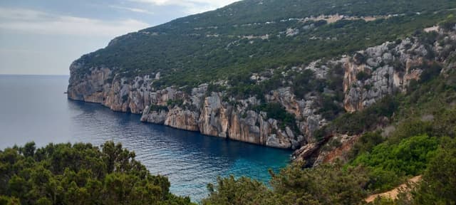 Photo 7 by Rafael S. (12/24/23)