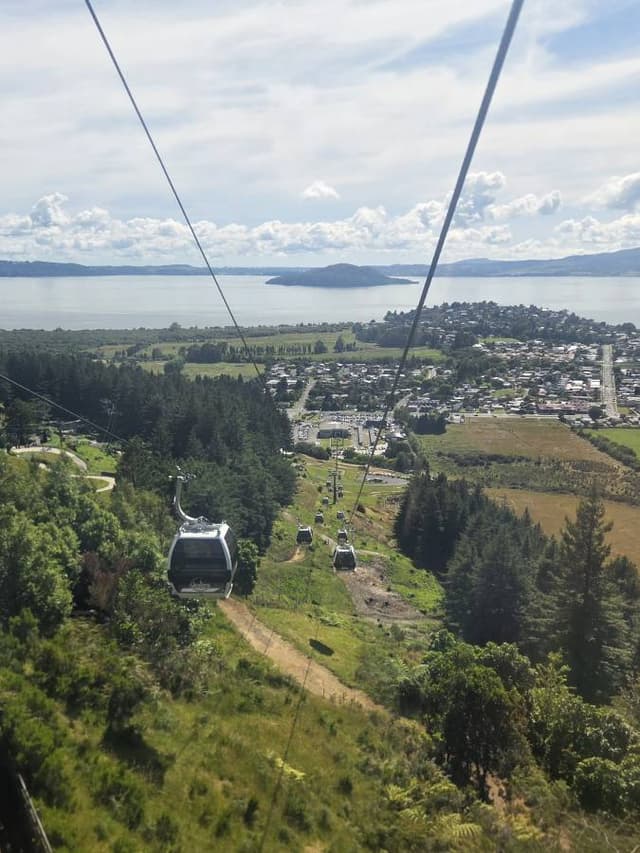 Photo 2 by Peter W. (1/4/26)