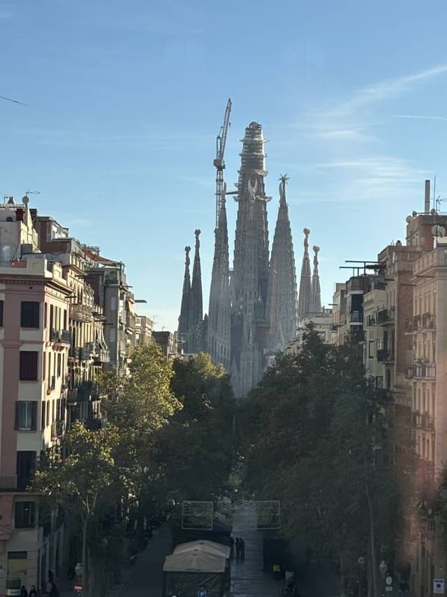 Photo 1 by Rafal G. (11/28/25)