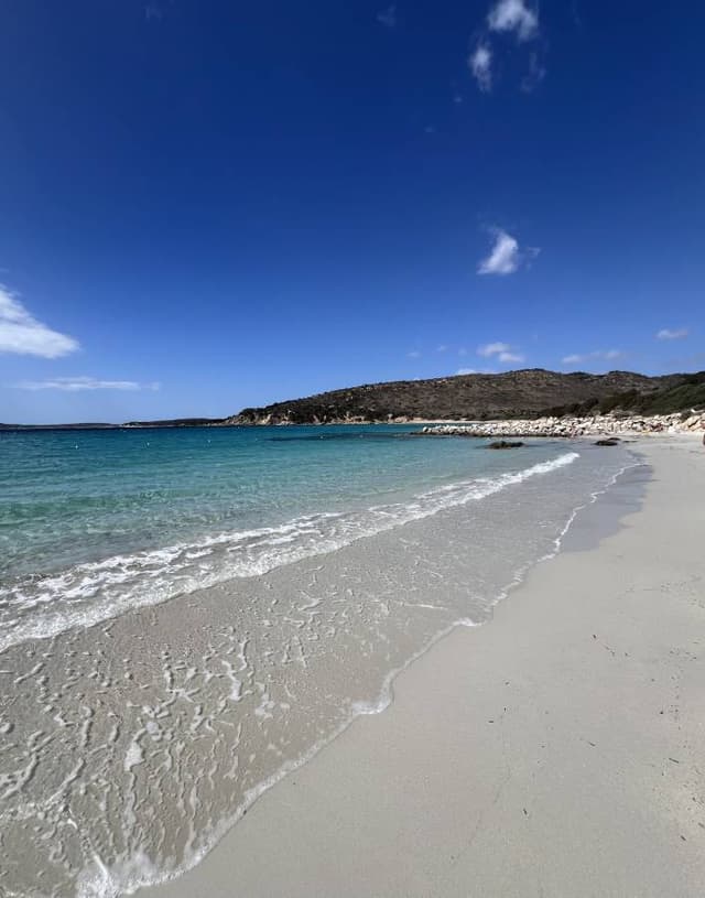 Photo by Sara P. (9/15/24)