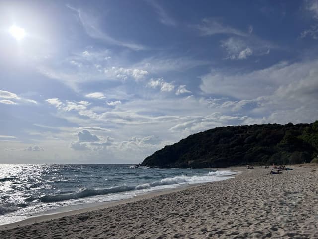 Photo 3 by Tomas P. (9/27/24)