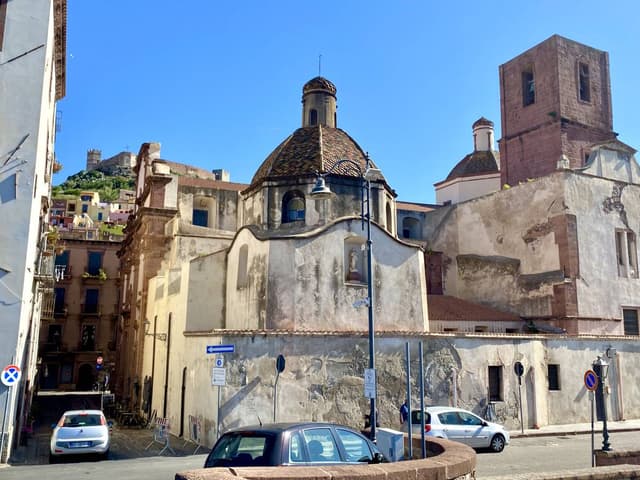 Photo 3 by Peter G. (5/19/25)