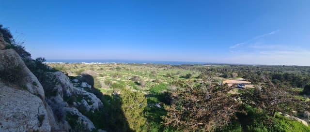 Photo 3 by David E. (2/6/25)