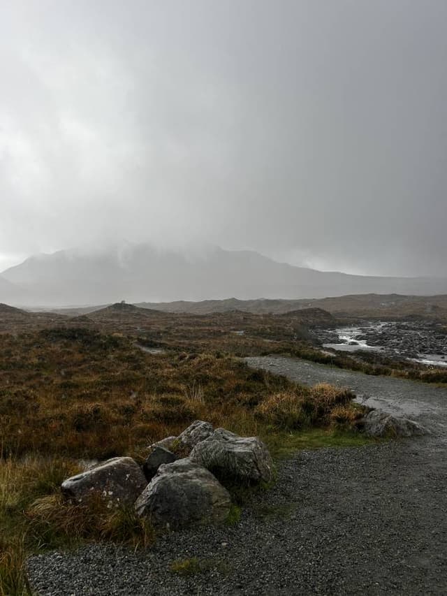 Photo 5 by Lauren R. (10/13/24)