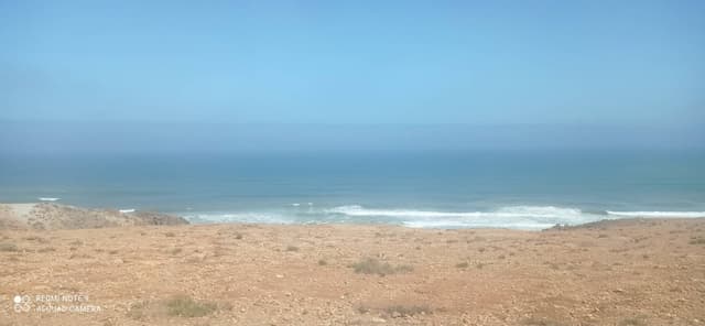 Photo 1 by LAHSEN B. (8/4/25)