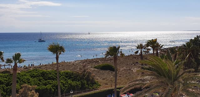 Photo 2 by Bruna C. (7/2/24)