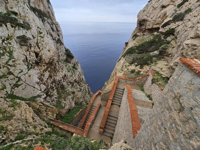 Photo 1 by Marek P. (4/19/25)