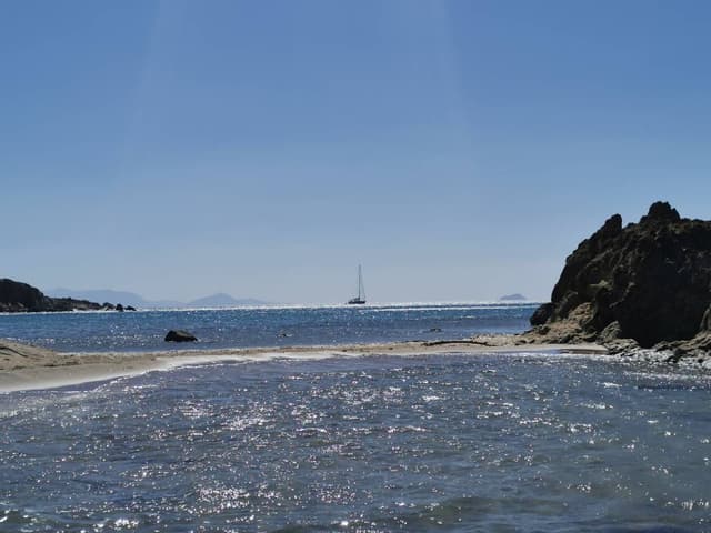 Photo 1 by Bostjan S. (7/31/23)