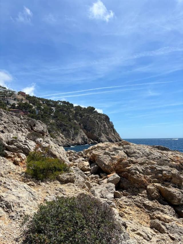 Photo 5 by Aleksandrs B. (5/7/24)