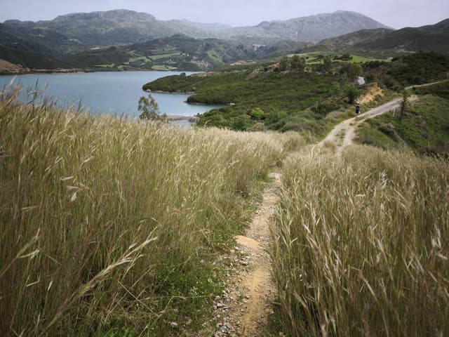 Photo 1 by Adam V. (5/12/25)