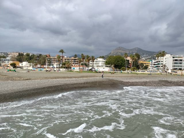 Photo 2 by Koloman T. (3/22/26)