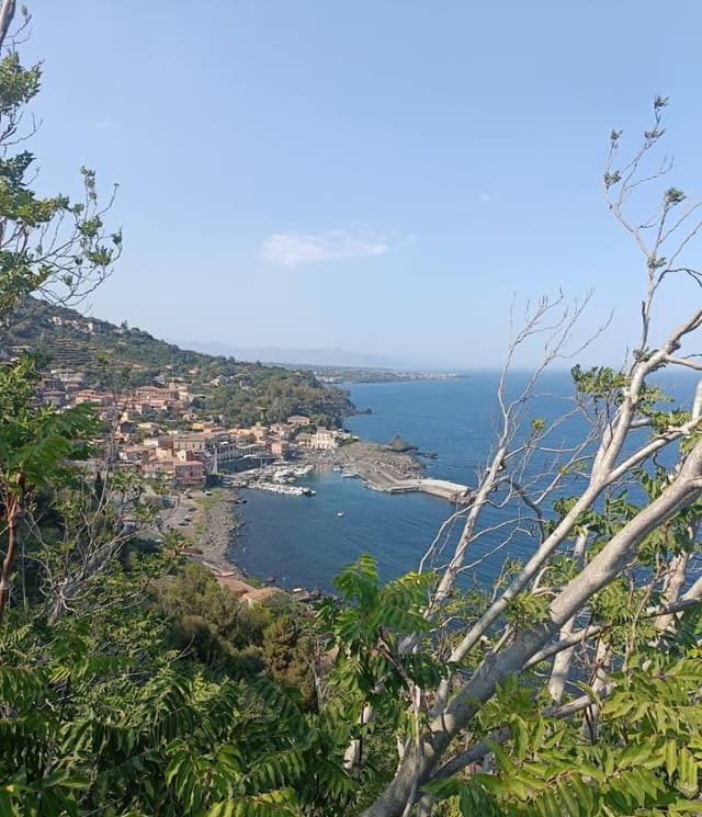 Photo 2 by Stuart H. (8/19/24)