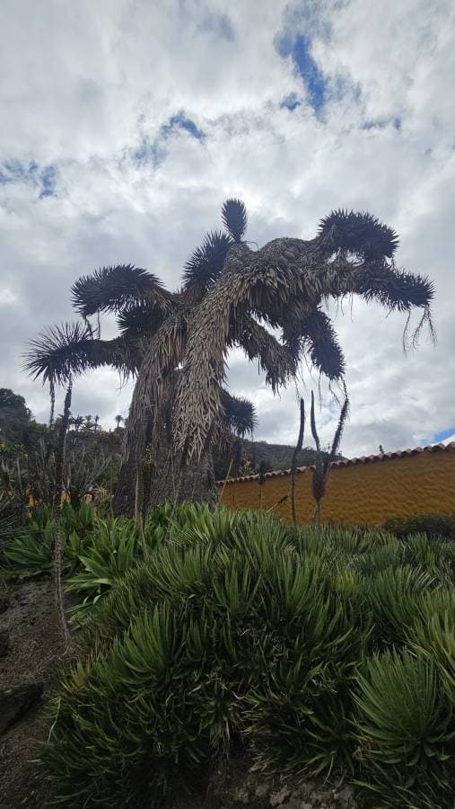 Photo 6 by Ostorhazi L. (11/12/25)