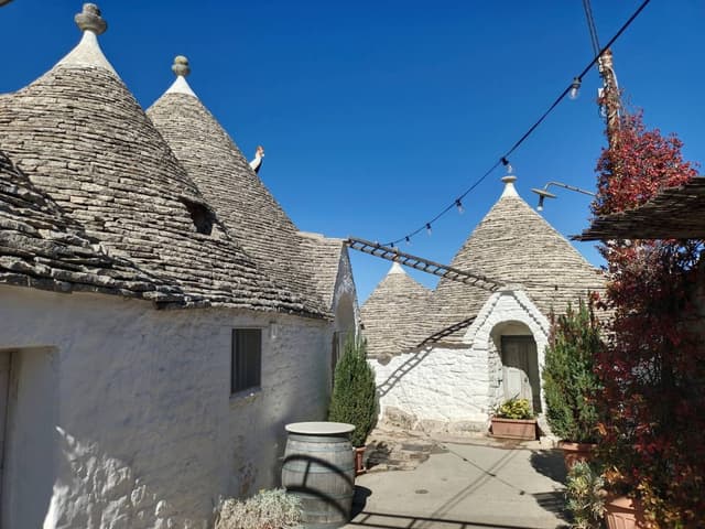 Photo 3 by Maria S. (10/2/24)