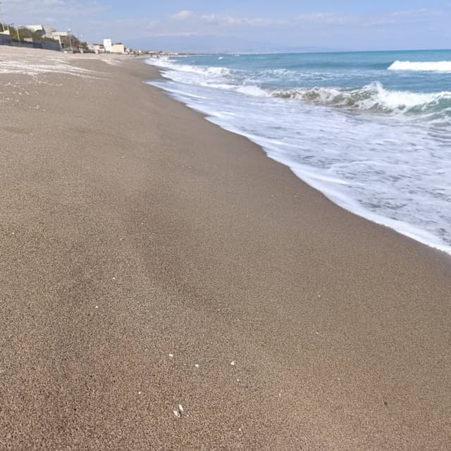 Photo 4 by Peter P. (3/26/26)