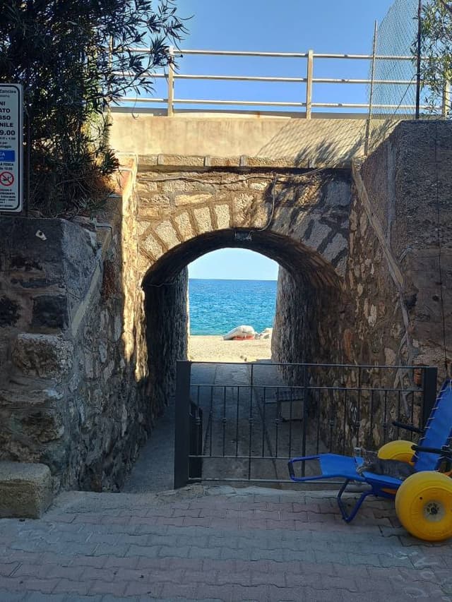 Photo by Mitrica E. (8/20/24)