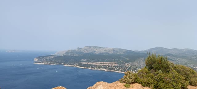 Photo 1 by Celia M. (6/19/25)