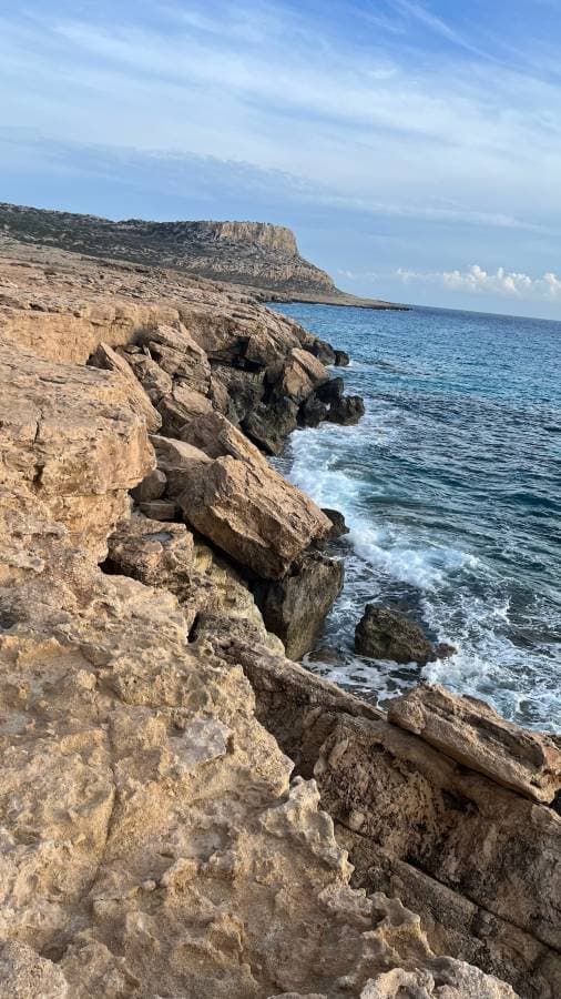 Photo 5 by Monika R. (12/17/23)