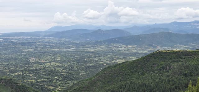 Photo by Paula O. (5/18/25)