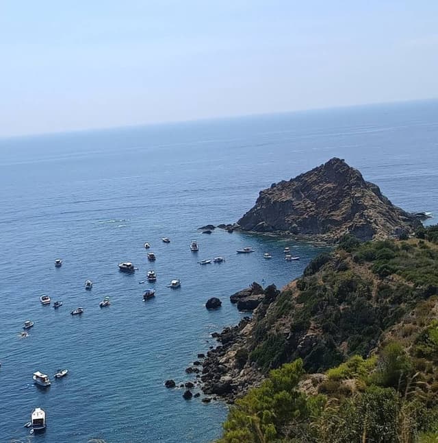 Photo 2 by Michal N. (8/11/24)