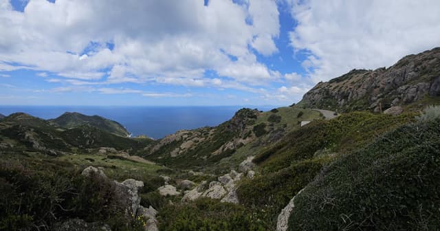 Photo 2 by Magdalena C. (5/12/24)