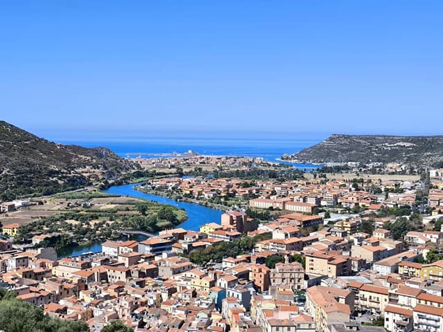 Photo 1 by Mihai Cristian N. (10/4/24)