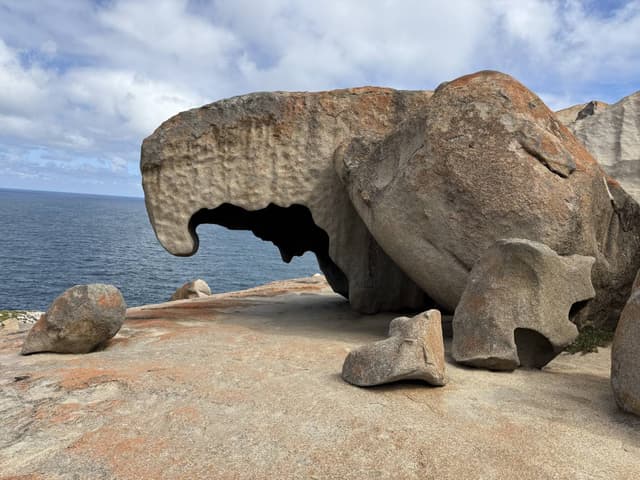 Photo 6 by Cheryl L. (1/10/26)