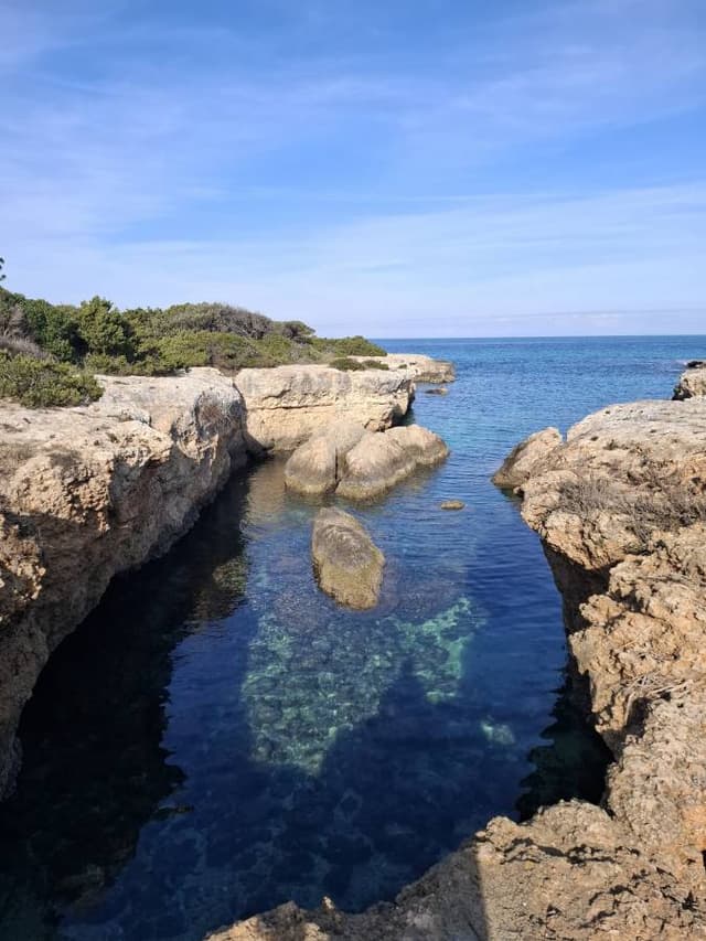 Photo 9 by Luciano Z. (1/22/26)