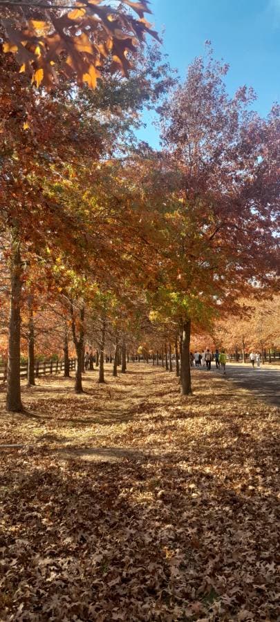 Photo 2 by Fahi M. (4/21/25)