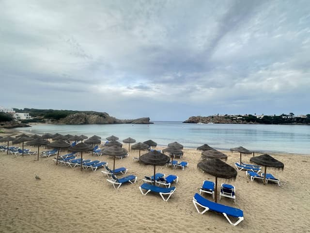 Photo 1 by Adelina T. (10/10/24)