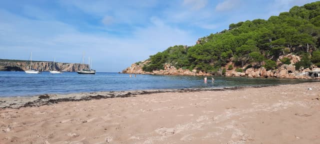 Photo 2 by Bruno G. (10/22/23)