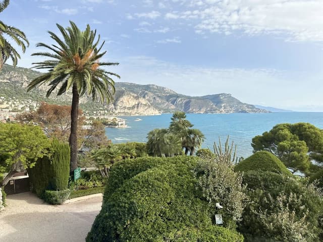 Photo 2 by SHULAMIT R. (10/27/23)