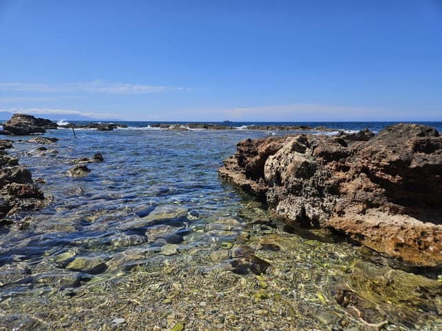 Photo 3 by Matthew P. (6/15/25)