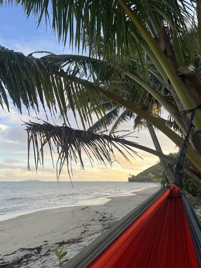 Photo 5 by Emily K. (6/13/25)