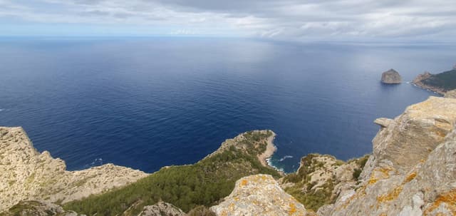 Photo 4 by Doychin D. (4/19/24)