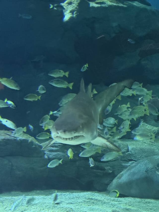 Photo 2 by Michael F. (1/16/25)