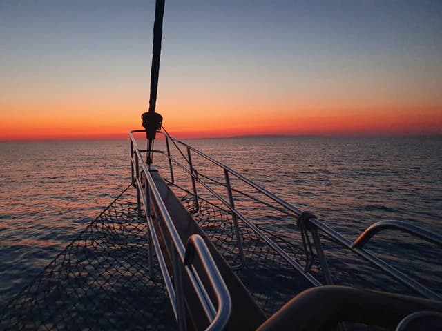 Photo 3 by Eric V. (12/16/23)