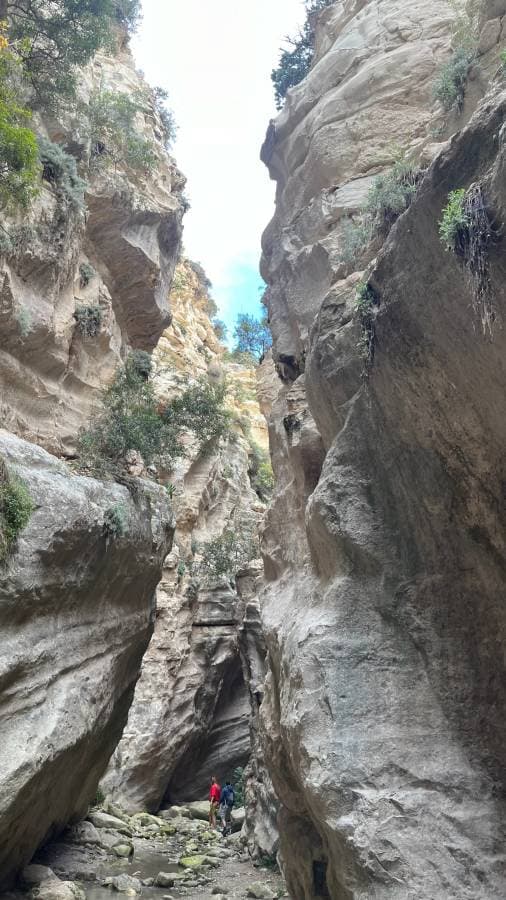 Photo 6 by Monika R. (12/17/23)