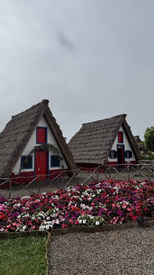 Photo 3 by Martha K. (6/28/25)