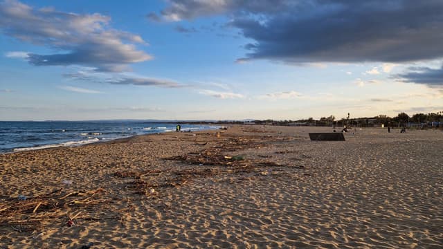 Photo 2 by CRISTINA ANDREEA G. (3/17/25)