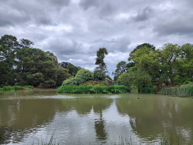 Photo 4 by Teng Hong T. (12/17/23)