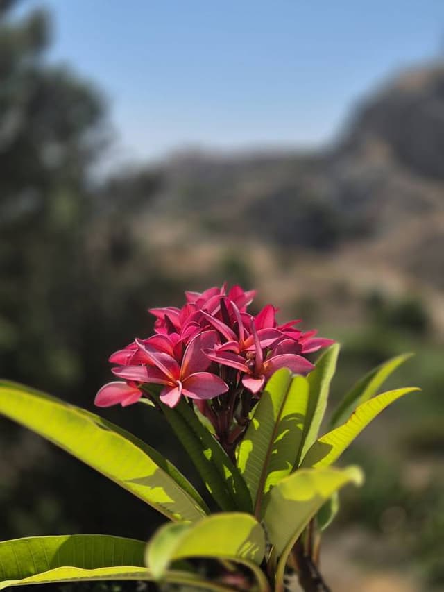 Photo 3 by Rimvydas A. (7/13/25)