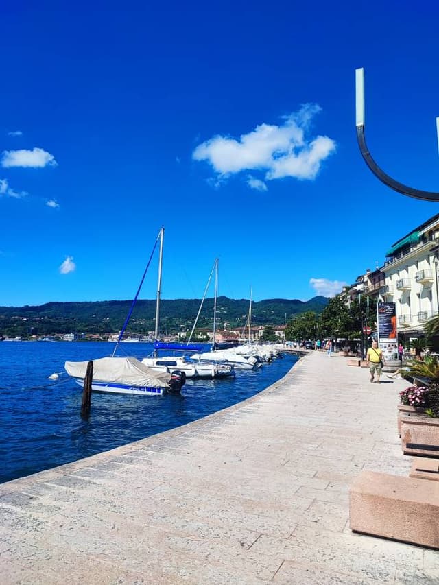 Photo 5 by Agne V. (7/8/24)