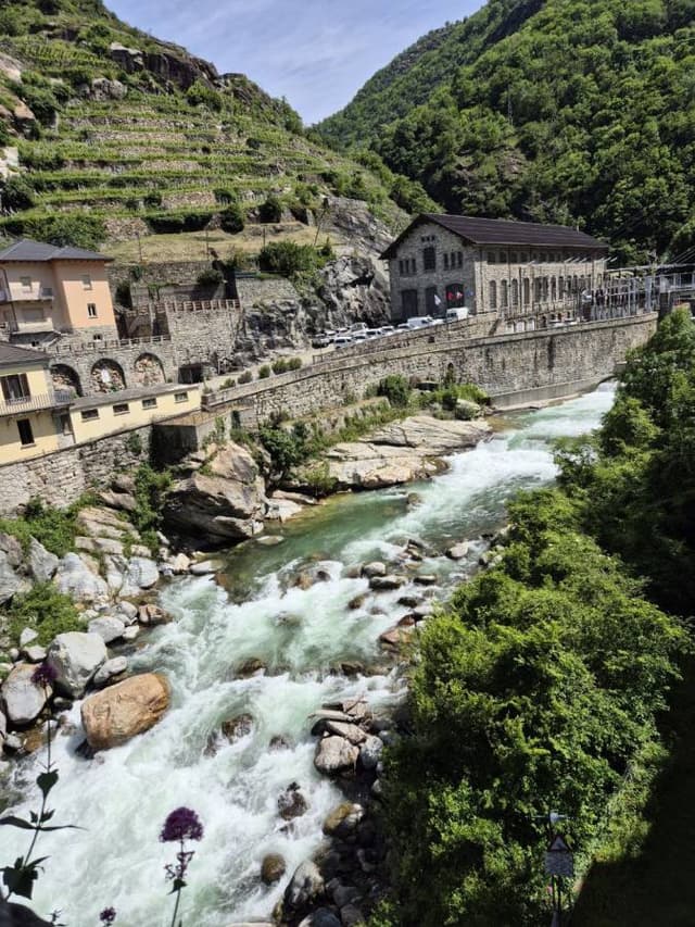 Photo 1 by Oleksandr Z. (6/1/24)