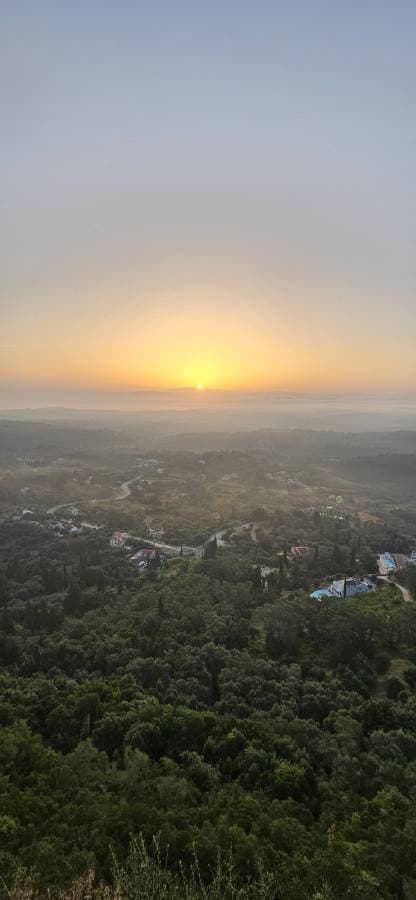 Photo 3 by Dmitry V. (6/28/24)