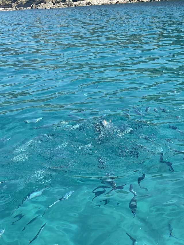 Photo 1 by Andrea G. (10/1/25)