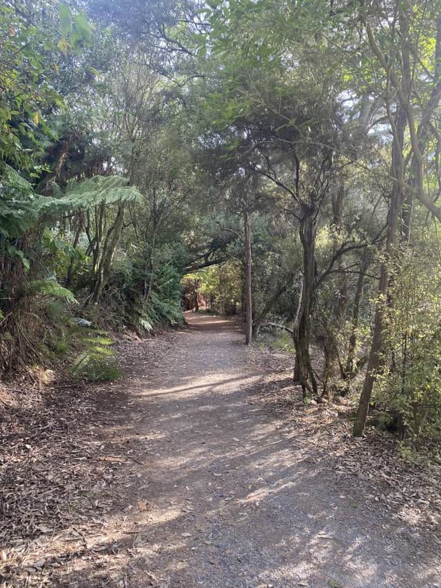 Photo 1 by Lindsey E. (5/16/25)