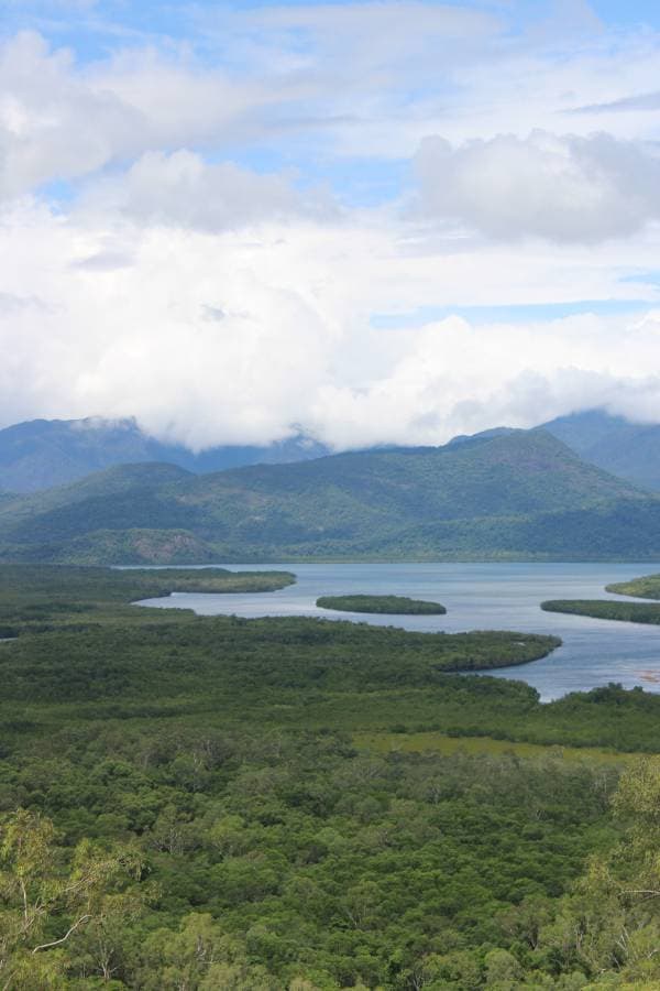 Photo 6 by Thomas P. (12/4/24)