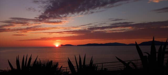 Photo 8 by Rafael S. (12/24/23)