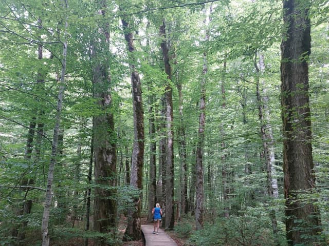 Photo 2 by John M. (8/10/23)